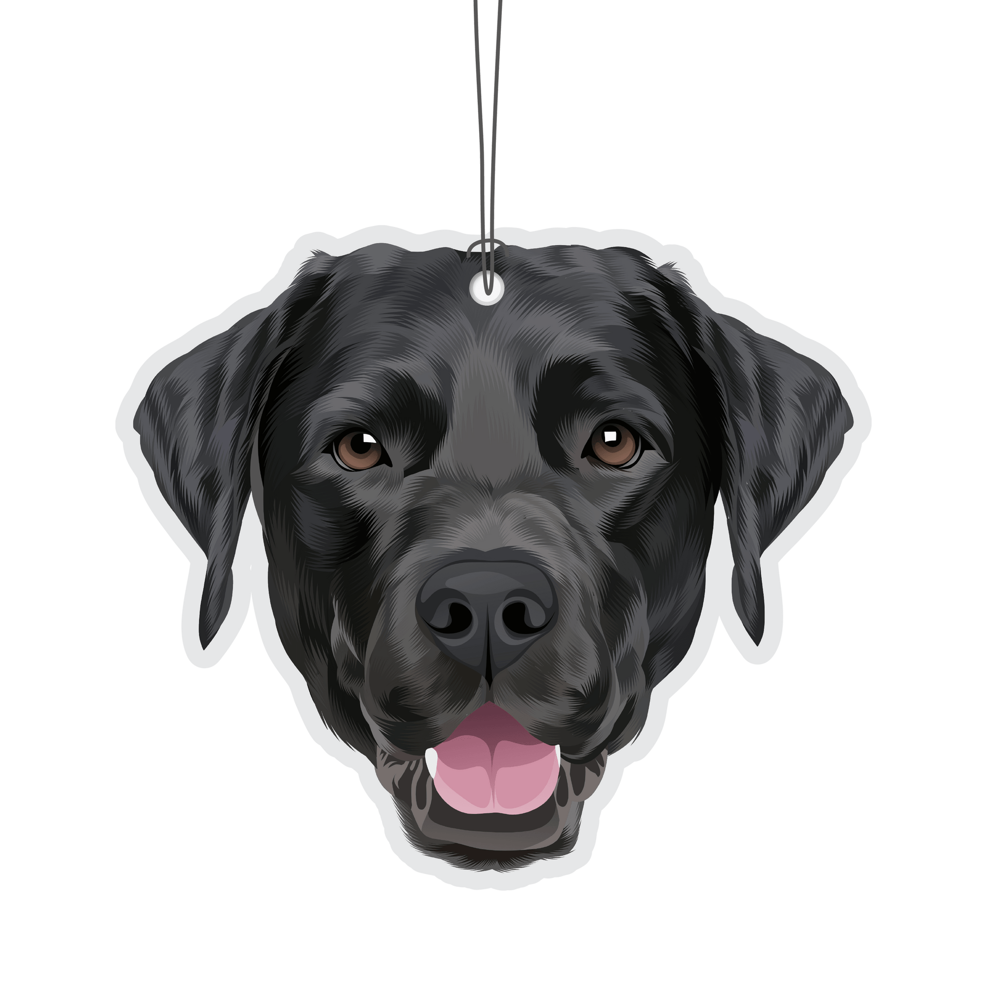 Black Labrador