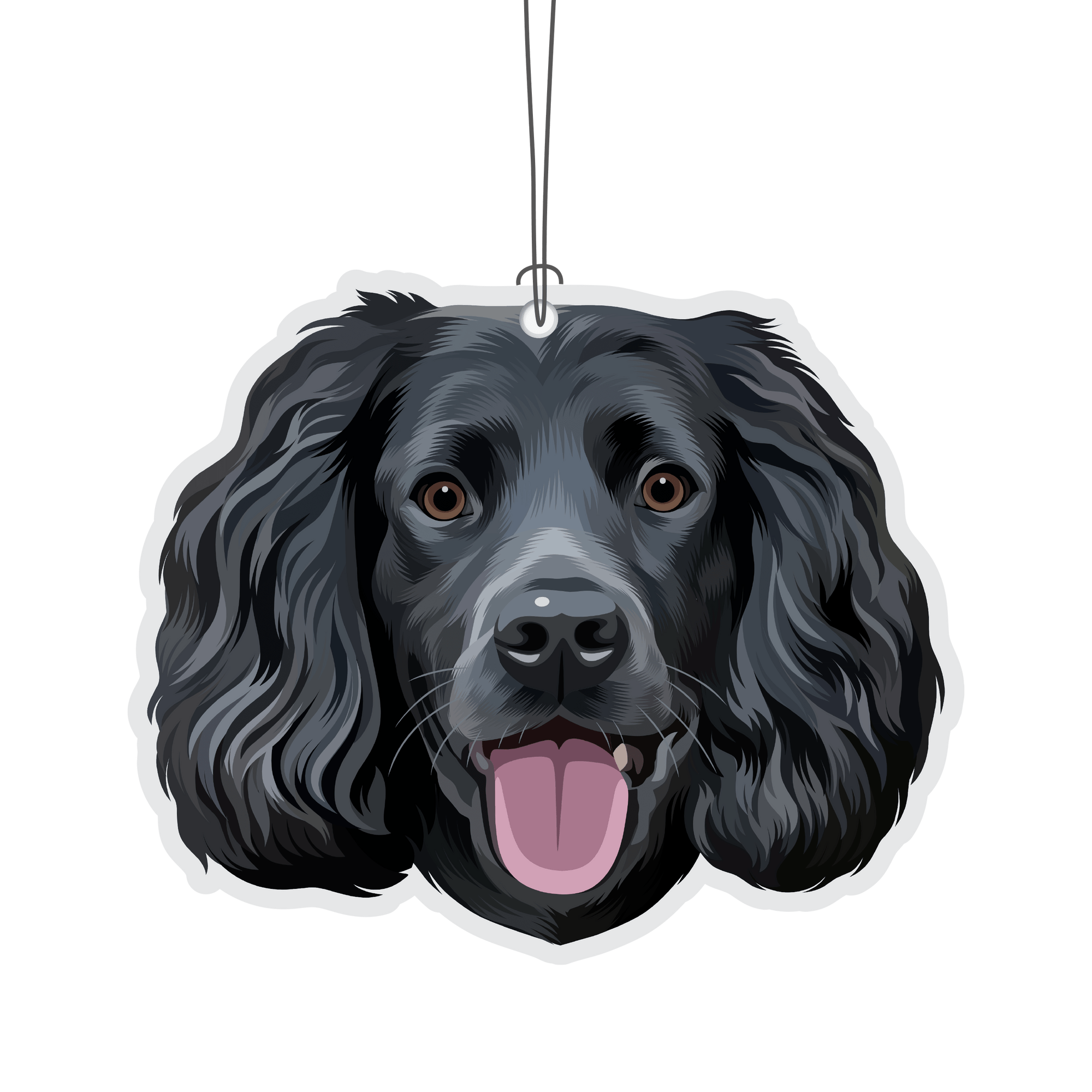 Black Springer Spaniel