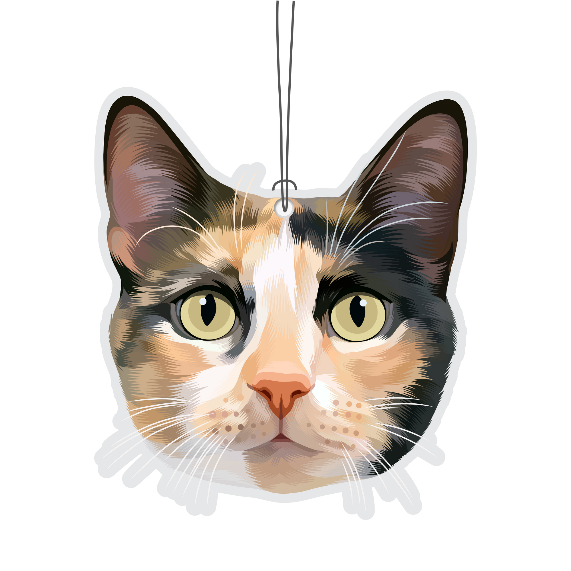 Calico Cat