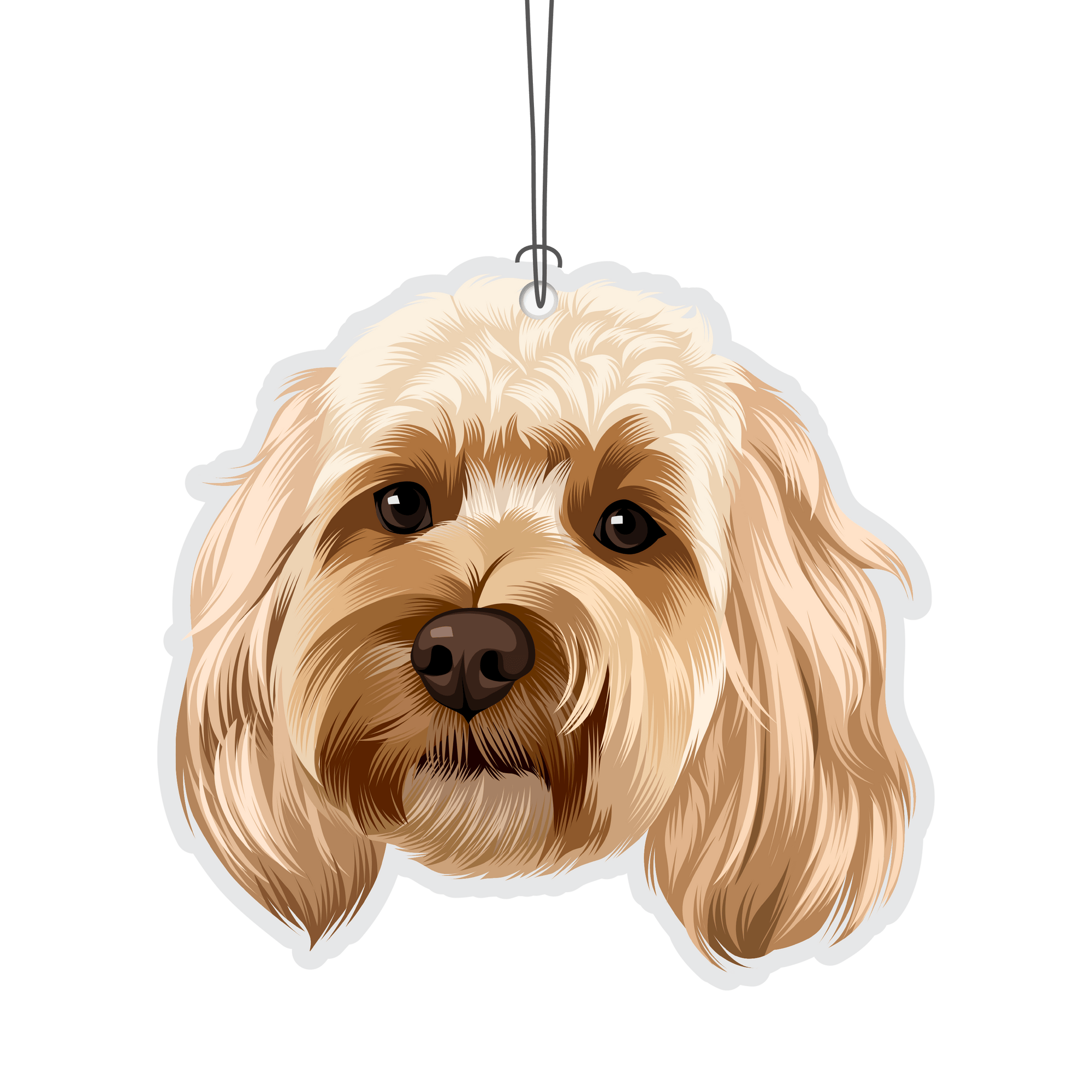Cockapoo