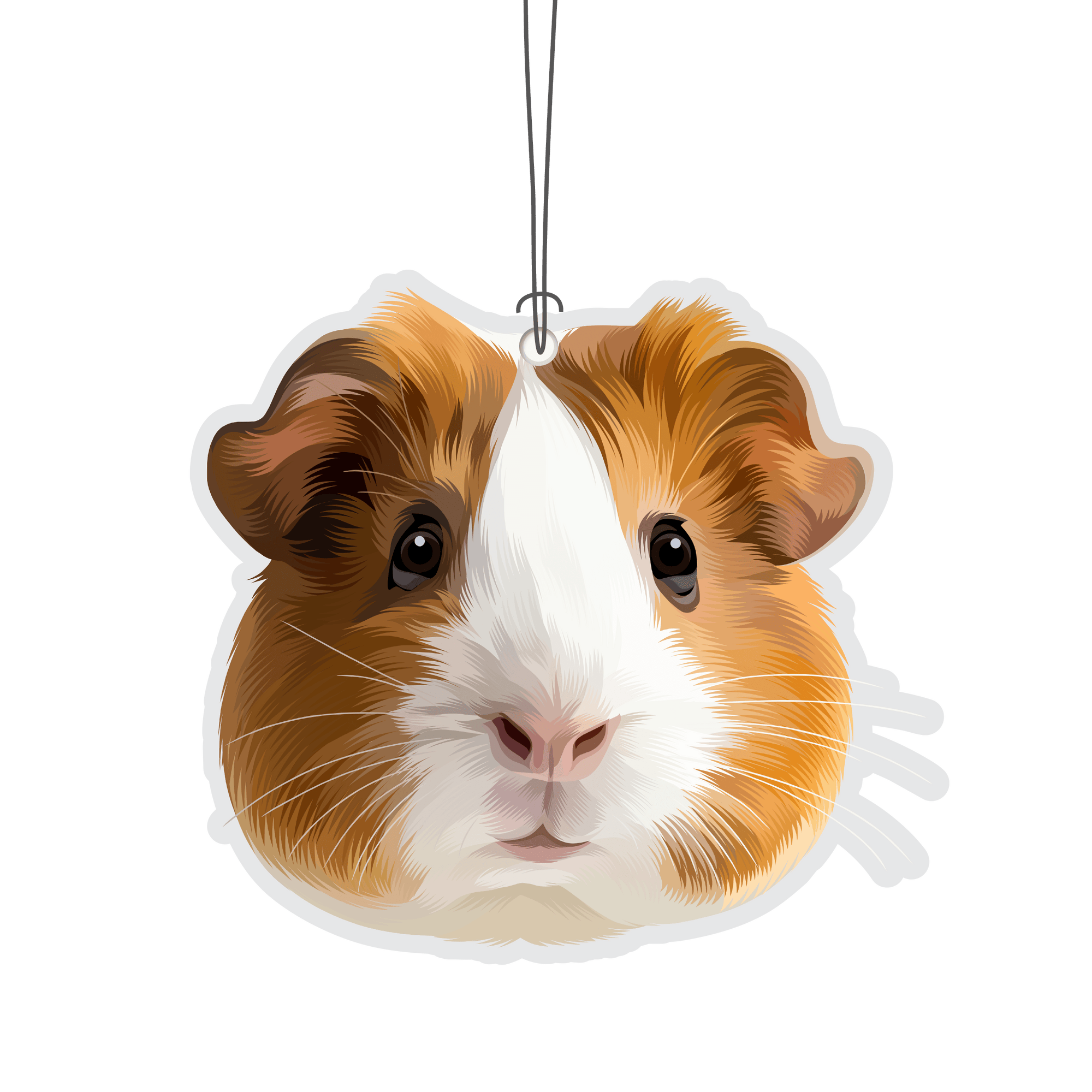 Guinea Pig