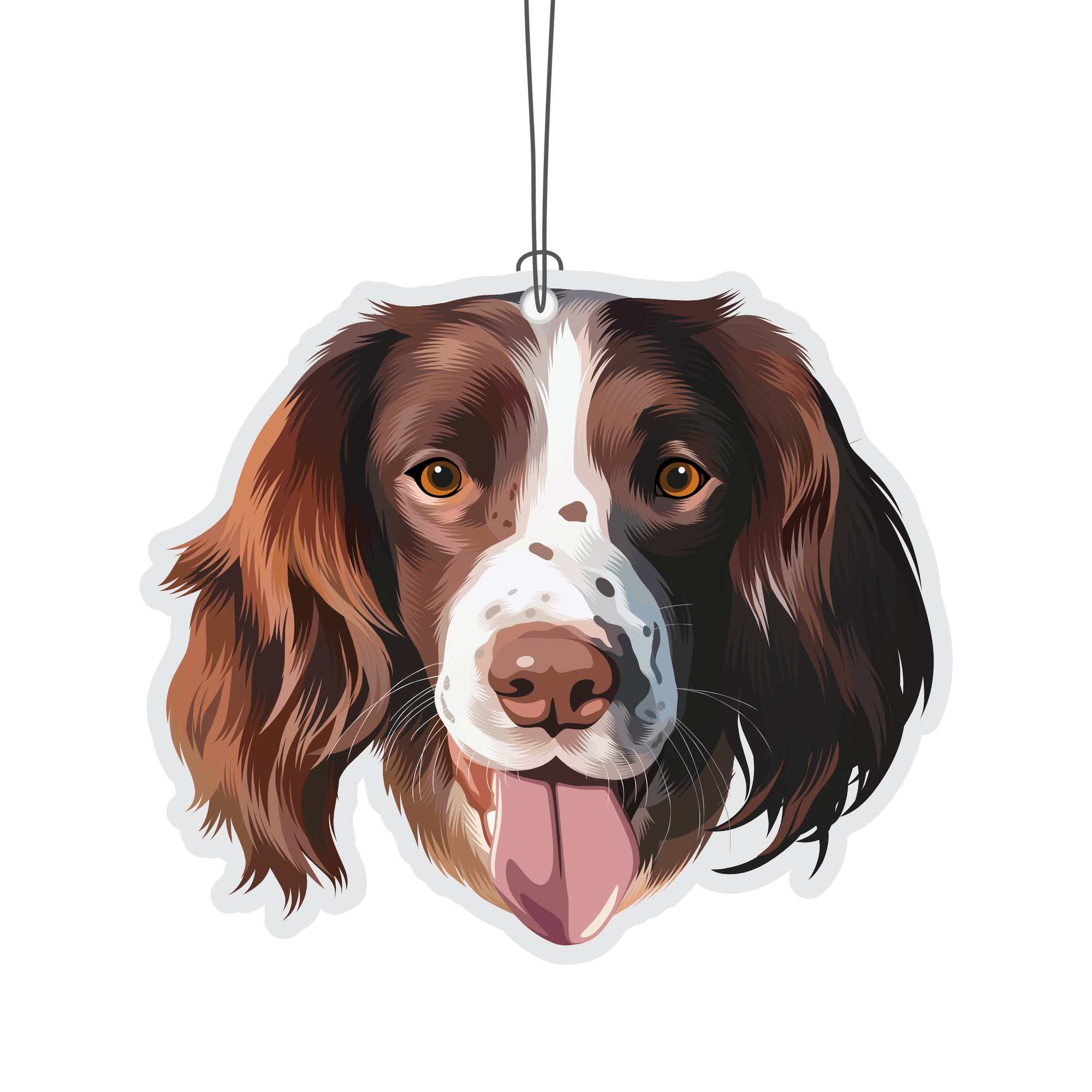 Springer Spaniel