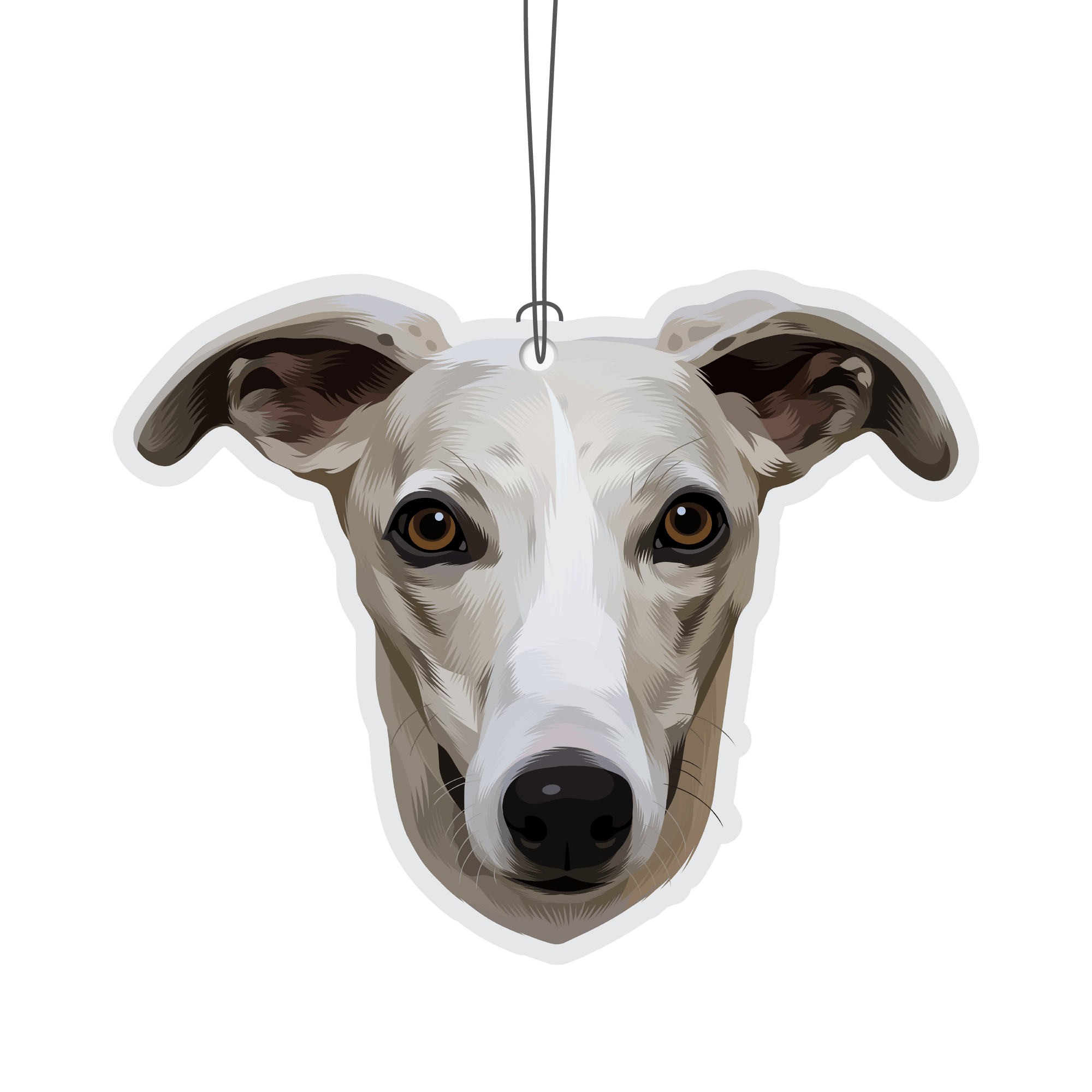 Whippet