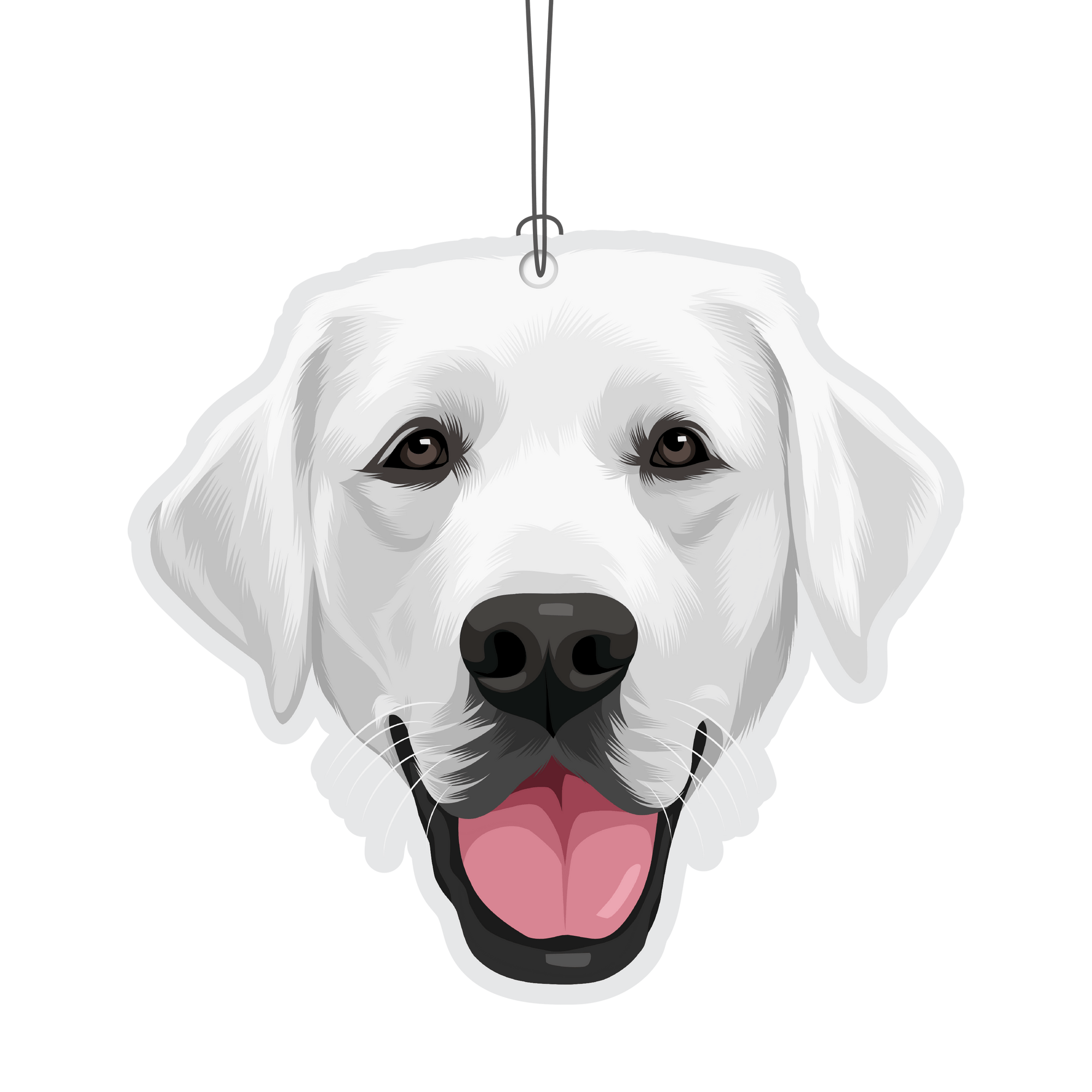White Labrador